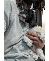 Raven (F2b), a female Cockapoo for sale in Philadelphia, PA – Photo 2 of 9