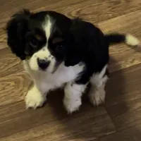 processed/d5694cff-571b-443d-b5d5-04a3bb8e2cc1/facility/75944590-258e-4249-bec5-fbe179592ab6