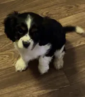 processed/d5694cff-571b-443d-b5d5-04a3bb8e2cc1/facility/75944590-258e-4249-bec5-fbe179592ab6