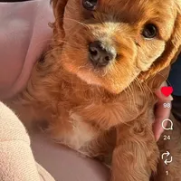 processed/d5694cff-571b-443d-b5d5-04a3bb8e2cc1/facility/92bb3ac3-873d-41a9-9da4-39e86877eccf