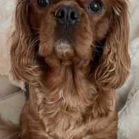 processed/d5694cff-571b-443d-b5d5-04a3bb8e2cc1/facility/a0260af9-e130-4fe4-9752-895a9d27357a