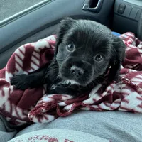 processed/d5694cff-571b-443d-b5d5-04a3bb8e2cc1/facility/d3a4101b-ea97-4196-a8f2-934bb9bba093