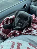 processed/d5694cff-571b-443d-b5d5-04a3bb8e2cc1/facility/d3a4101b-ea97-4196-a8f2-934bb9bba093