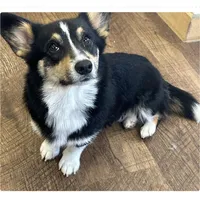 processed/d5694cff-571b-443d-b5d5-04a3bb8e2cc1/facility/ebdeddaa-f5b1-4003-9eb1-6a9c9e34e63c