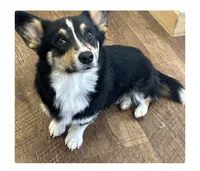 processed/d5694cff-571b-443d-b5d5-04a3bb8e2cc1/facility/ebdeddaa-f5b1-4003-9eb1-6a9c9e34e63c