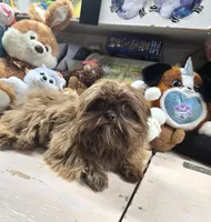 processed/d56c981f-95d4-4b73-a52f-1718dca235ef/listing/1b7d1958-50b0-42ef-b9eb-28bf3f0ab69d/18d7e03b-f6ed-48f4-8796-0972250d87f4