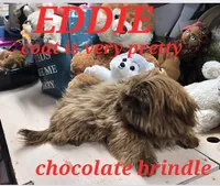 processed/d56c981f-95d4-4b73-a52f-1718dca235ef/listing/1b7d1958-50b0-42ef-b9eb-28bf3f0ab69d/258b0f33-1112-41d4-8224-738c06d7473c