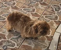 processed/d56c981f-95d4-4b73-a52f-1718dca235ef/listing/1b7d1958-50b0-42ef-b9eb-28bf3f0ab69d/4ea446dd-4fac-4fb8-bdc4-1db7665e1664