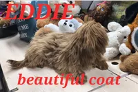 processed/d56c981f-95d4-4b73-a52f-1718dca235ef/listing/1b7d1958-50b0-42ef-b9eb-28bf3f0ab69d/aeb6bb57-b288-47f8-a4af-23e102e79afc