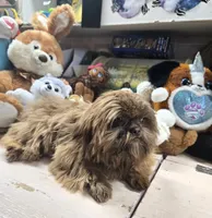 processed/d56c981f-95d4-4b73-a52f-1718dca235ef/listing/1b7d1958-50b0-42ef-b9eb-28bf3f0ab69d/cf7916dc-528a-41cb-8ca2-66d8a1916739