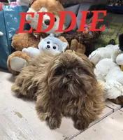 processed/d56c981f-95d4-4b73-a52f-1718dca235ef/listing/1b7d1958-50b0-42ef-b9eb-28bf3f0ab69d/f2f9e4f5-d888-4f6b-8bad-fa76e6040c14