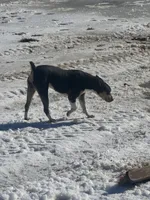 processed/d56cb9c1-a3ac-47c5-b227-b812d438a941/listing/381acf9f-0937-46e9-a66b-8cd6167cb5f4/2c8bf1c2-7927-4c65-9f64-26d2cc98f135