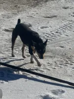 processed/d56cb9c1-a3ac-47c5-b227-b812d438a941/listing/381acf9f-0937-46e9-a66b-8cd6167cb5f4/e1aae143-68a4-4ae3-bd8d-9a7331bc0aaf