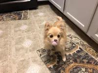 processed/d56cff4f-2637-4e9b-92af-ea05abb1691a/facility/349cbb51-c613-49d2-9e4e-34fba27ebcf9