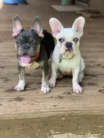 processed/d56cff4f-2637-4e9b-92af-ea05abb1691a/facility/a3a8a66a-c11b-4584-945a-0c402ba584c7