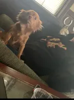 processed/d56cff4f-2637-4e9b-92af-ea05abb1691a/facility/b44cb196-00c4-4252-9265-abb3f3e5db17