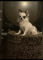 processed/d56cff4f-2637-4e9b-92af-ea05abb1691a/facility/c3c80c0e-3e2d-4bbd-848f-7d754b640967