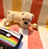 processed/d56cff4f-2637-4e9b-92af-ea05abb1691a/listing/82e8f3c2-7f82-4d1b-8342-7ac0de9828c7/12de9a50-1b27-4083-a69d-6c7cf9330c29