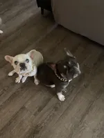 processed/d56cff4f-2637-4e9b-92af-ea05abb1691a/listing/82e8f3c2-7f82-4d1b-8342-7ac0de9828c7/166966af-2bb6-486b-83de-bd42b6b34bf3