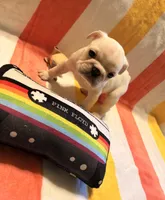 processed/d56cff4f-2637-4e9b-92af-ea05abb1691a/listing/82e8f3c2-7f82-4d1b-8342-7ac0de9828c7/3c32af3b-a8d3-41ff-a19d-1145ffae262e