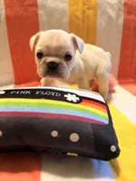 processed/d56cff4f-2637-4e9b-92af-ea05abb1691a/listing/82e8f3c2-7f82-4d1b-8342-7ac0de9828c7/99d644a1-ea8e-43df-a2ee-48f5024b50ef