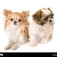 processed/d56d4058-a8fe-4bbf-9b98-b21c2c6ec450/facility/7441ba2d-8346-48d8-9258-81b914cf4e3f