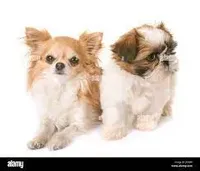 processed/d56d4058-a8fe-4bbf-9b98-b21c2c6ec450/facility/7441ba2d-8346-48d8-9258-81b914cf4e3f