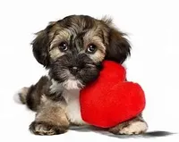 processed/d56d4058-a8fe-4bbf-9b98-b21c2c6ec450/facility/7a412f60-08ce-4c3f-80b1-adfa628b5ef7