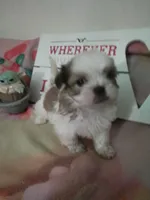 processed/d56d4058-a8fe-4bbf-9b98-b21c2c6ec450/listing/90bc28ad-bc64-430c-8874-55ced5e078df/9bca15e6-6edd-45c9-b89a-b4f61c2323c7