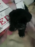 processed/d56d4058-a8fe-4bbf-9b98-b21c2c6ec450/listing/9a2e0eb2-f969-44a3-a739-26ffe4fce4c1/07d8b137-e714-4694-b5e4-e58495a35316