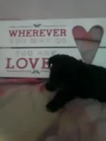 processed/d56d4058-a8fe-4bbf-9b98-b21c2c6ec450/listing/9a2e0eb2-f969-44a3-a739-26ffe4fce4c1/0eea79ea-df56-4f1b-9b2e-9553fe271130