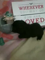 processed/d56d4058-a8fe-4bbf-9b98-b21c2c6ec450/listing/9a2e0eb2-f969-44a3-a739-26ffe4fce4c1/275097f0-1df1-4242-8a50-366087076085