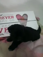 processed/d56d4058-a8fe-4bbf-9b98-b21c2c6ec450/listing/9a2e0eb2-f969-44a3-a739-26ffe4fce4c1/6e7074f8-a733-4b39-90ee-1b8d88823a26