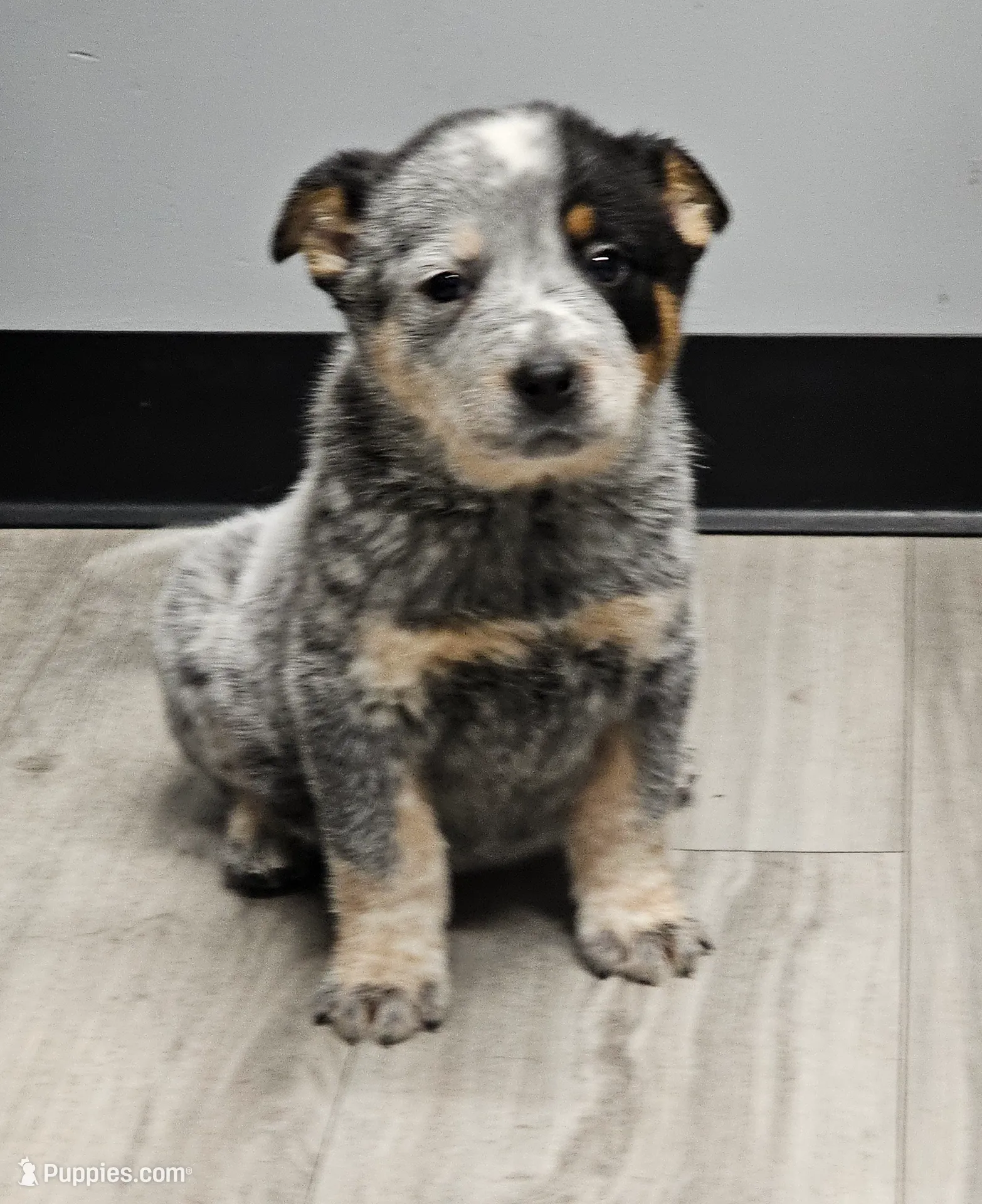 processed/d583f675-882f-440a-9016-45b597cb68d2/listing/81f2d3f6-4cf1-4aa2-9056-2076eb545031/4e400e50-baca-438c-9713-4b847ea43386