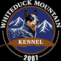 processed/d583f675-882f-440a-9016-45b597cb68d2/listing/81f2d3f6-4cf1-4aa2-9056-2076eb545031/556b479c-5674-4570-b9fa-5603abb571b4