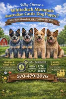 processed/d583f675-882f-440a-9016-45b597cb68d2/listing/81f2d3f6-4cf1-4aa2-9056-2076eb545031/5c912217-4a0d-430f-bb23-436b1dae0237