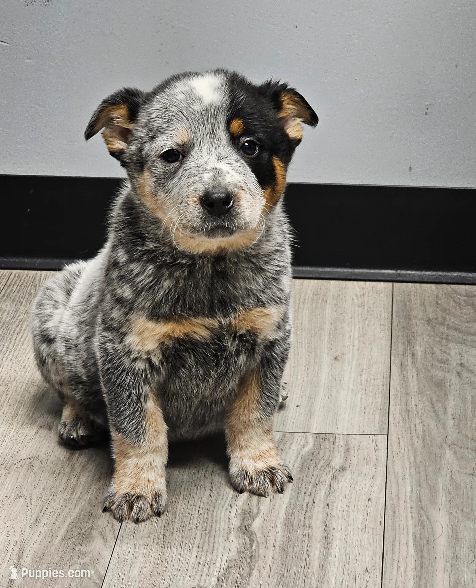 processed/d583f675-882f-440a-9016-45b597cb68d2/listing/81f2d3f6-4cf1-4aa2-9056-2076eb545031/92c2a558-3d79-47bf-8e76-1fad3d74f880