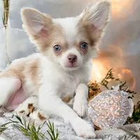 processed/d592ff4e-df5c-4756-9a5a-05065952069e/facility/0dc8846f-de43-4a44-ae00-46e30c6b575b