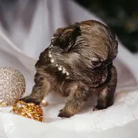 processed/d592ff4e-df5c-4756-9a5a-05065952069e/facility/104c7df1-1614-4319-9bee-c98b20a2b3af