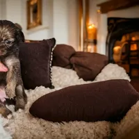 processed/d592ff4e-df5c-4756-9a5a-05065952069e/facility/3f29dfa4-38d6-4bb8-b910-f191acc5944f