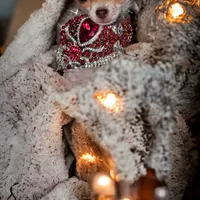 processed/d592ff4e-df5c-4756-9a5a-05065952069e/facility/4245c6cb-0913-457c-a427-147e2e8bedcd