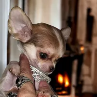 processed/d592ff4e-df5c-4756-9a5a-05065952069e/facility/65e20b0a-38f9-4b1b-9653-9550e28fc460