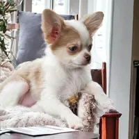 processed/d592ff4e-df5c-4756-9a5a-05065952069e/facility/69b0be2e-56a4-4ac5-8aab-44424dcb9331