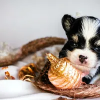 processed/d592ff4e-df5c-4756-9a5a-05065952069e/facility/7e3e58a4-7928-4e52-83c4-7d532ccd2b08