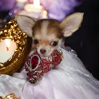 processed/d592ff4e-df5c-4756-9a5a-05065952069e/facility/88676fde-0c2c-4102-a8ed-6ff05f694056