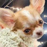 processed/d592ff4e-df5c-4756-9a5a-05065952069e/facility/e6958447-30f6-4ffa-ba19-df0c151cbf07