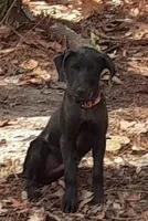 processed/d598940f-ad06-4c72-830a-af7f2fcae1e0/listing/f8c2bb17-0e93-4923-8794-dfd2a442f94f/5b045229-0fe8-435c-8aa6-18fa6b984a13