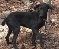 processed/d598940f-ad06-4c72-830a-af7f2fcae1e0/listing/f8c2bb17-0e93-4923-8794-dfd2a442f94f/76916d46-72ce-4a50-bf16-c46d78cdbca4