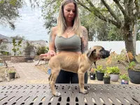"Tilly" Formentino Female, a female Cane Corso for sale in Land O Lakes, FL – Photo 6 of 6
