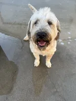 processed/d59dcd85-89b6-44df-82e9-5df6e08aafbf/listing/72f4dcec-40e5-4e04-8e58-f1d7aee7ddfa/02940b02-00ad-4d0b-ba34-a22791925615